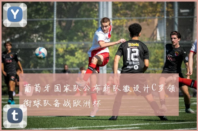 葡萄牙国家队公布新队徽设计C罗领衔球队备战欧洲杯
