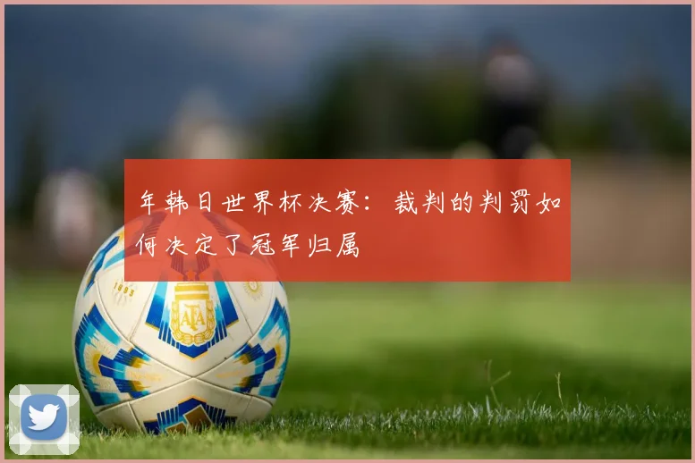 年韩日世界杯决赛:裁判的判罚如何决定了冠军归属