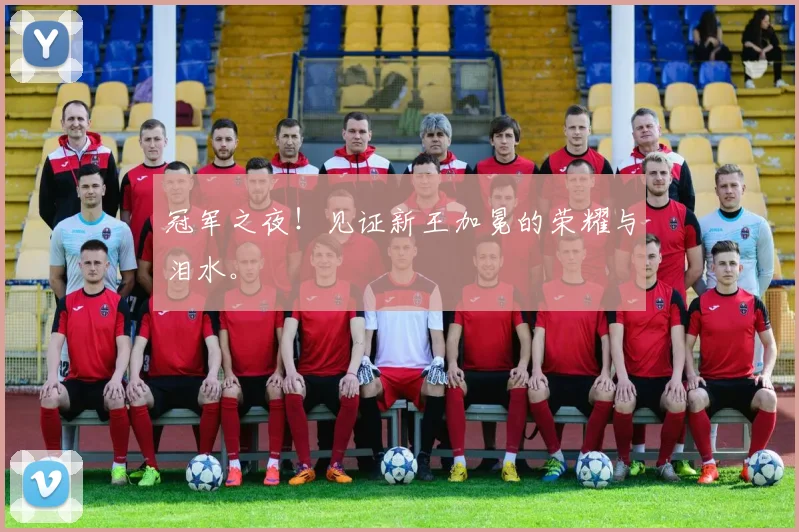 冠军之夜!见证新王加冕的荣耀与泪水。