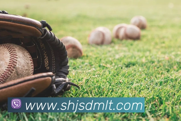 爱体育电子官方网站发展历程